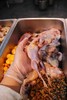 鹌鹑鸡肉味100克朱迪主食鲜粮猫饭/制熟发货常温保存开袋即食 商品缩略图3