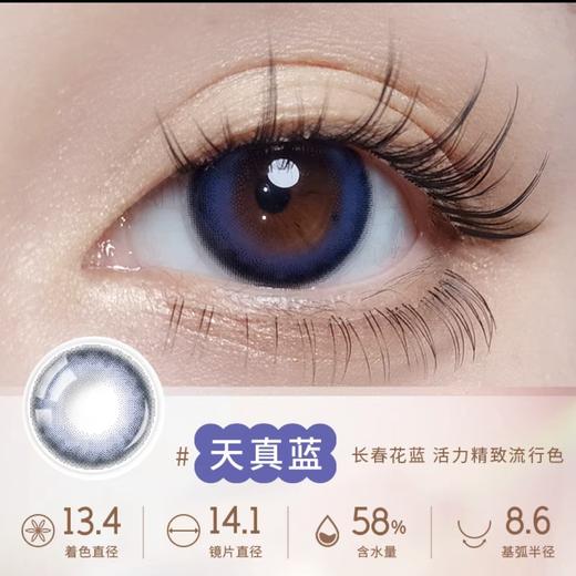 NEW！增加新色 Lapeche拉拜诗 小丸子联名款 日抛  直径14.1/14.2  10片装 商品图2