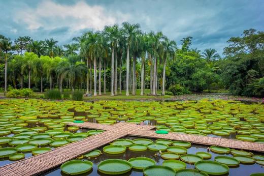 【雨林秘境 亲子奇遇】西双版纳+普洱7天6晚童趣之旅 商品图1