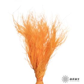 永生花材|墨西哥羽毛草橙色