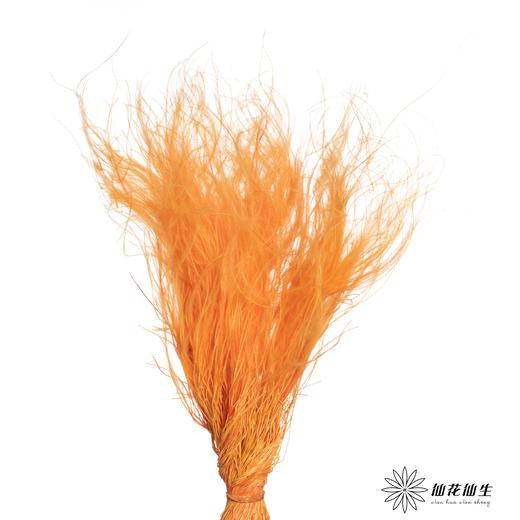 永生花材|墨西哥羽毛草橙色 商品图0