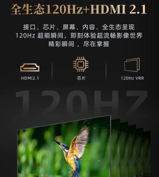 东芝(TOSHIBA) 75英寸客厅网络电视75Z570KF 火箭炮音响  4K超高清 运动防抖 全面屏游戏电视  商品图9