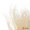 永生花材|墨西哥羽毛草白色 商品缩略图2