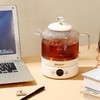韩国DAEWOO大宇养生壶家用多功能全自动炖煮烧水壶办公室小型煮茶壶 DY-ZC03 0.9L 商品缩略图2