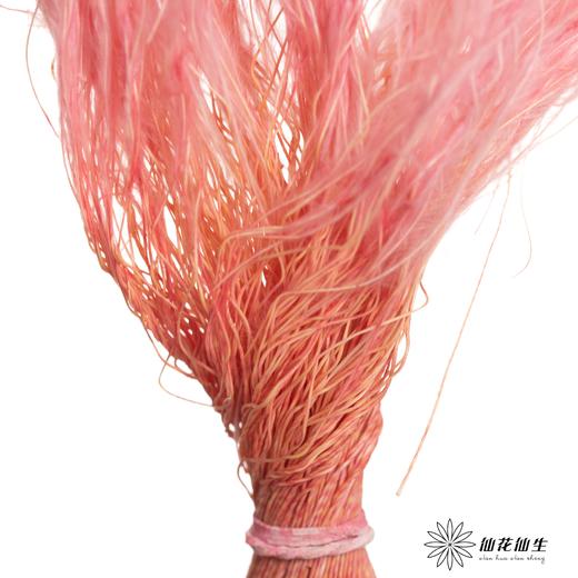 永生花材|墨西哥羽毛草粉色 商品图3