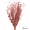永生花材|墨西哥羽毛草咖色 商品缩略图0