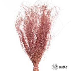永生花材|墨西哥羽毛草咖色