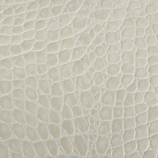 【超惠秒】BY FAR单肩手提法棍女包鳄鱼纹牛皮革复古小众腋下包 11043 商品图5