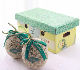 海南网纹蜜瓜6斤装牛3