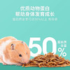 面包虫干550ml 小宠物零食高蛋白 小仓鼠金丝熊零食营养饲料主粮 商品缩略图3