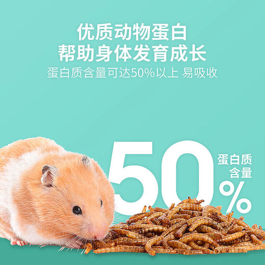 面包虫干550ml 小宠物零食高蛋白 小仓鼠金丝熊零食营养饲料主粮 商品图3