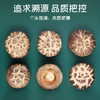 富昌花菇300g 香菇干 山珍蘑菇菌菇 南北干货特产 火锅食材煲汤材料 商品缩略图3