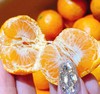 湖南高山雪峰橘（约4.5斤箱装/500g盒装）| 水果 商品缩略图0