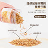 面包虫干550ml 小宠物零食高蛋白 小仓鼠金丝熊零食营养饲料主粮 商品缩略图2