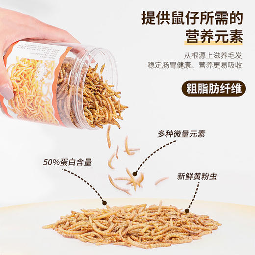 面包虫干550ml 小宠物零食高蛋白 小仓鼠金丝熊零食营养饲料主粮 商品图2