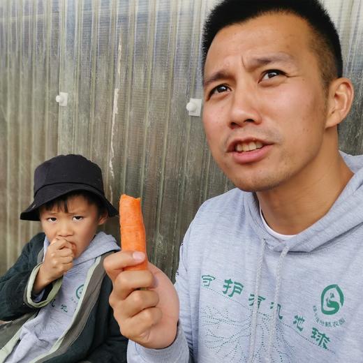 有机胡萝卜 | 合作生产*Organic-carrot | Coproduction 商品图3