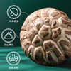 富昌花菇300g 香菇干 山珍蘑菇菌菇 南北干货特产 火锅食材煲汤材料 商品缩略图6