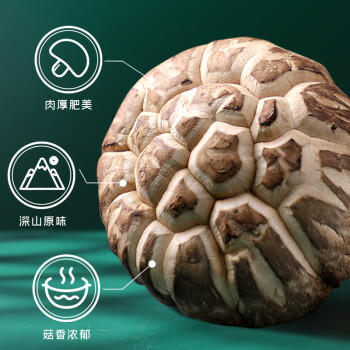 富昌花菇300g 香菇干 山珍蘑菇菌菇 南北干货特产 火锅食材煲汤材料 商品图6