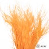 永生花材|墨西哥羽毛草橙色 商品缩略图2