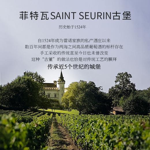 【连续6年吉尔伯特金奖】 圣索兰干红葡萄酒 超级波尔多AOC 商品图5