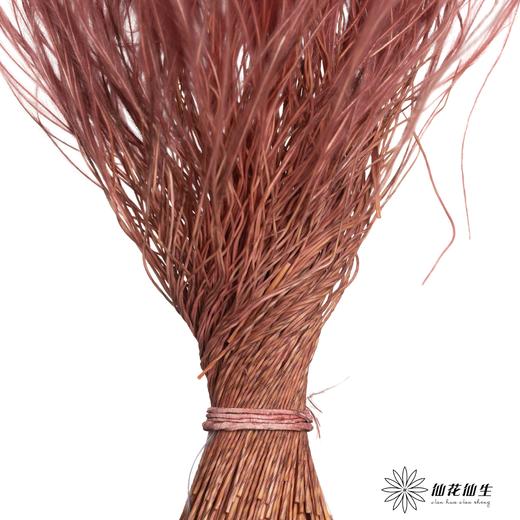 永生花材|墨西哥羽毛草咖色 商品图1