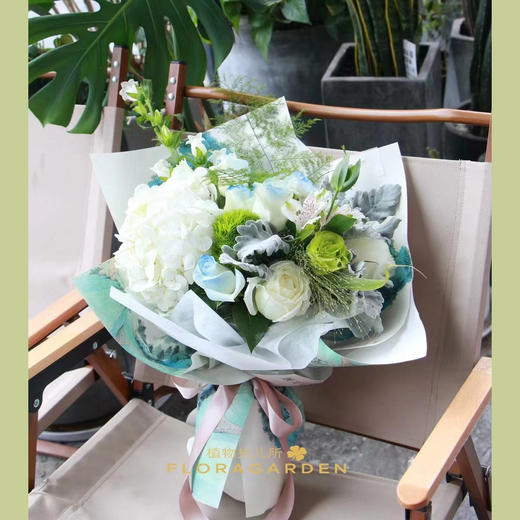 春意绿 商品图1