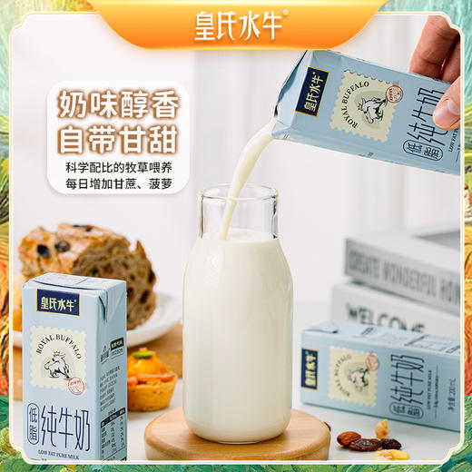 皇氏水牛·低脂纯牛奶水牛奶200ml*12  减脂不减口感 商品图3