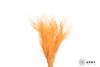 永生花材|墨西哥羽毛草橙色 商品缩略图3