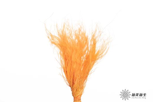 永生花材|墨西哥羽毛草橙色 商品图3