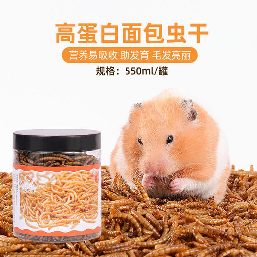 面包虫干550ml 小宠物零食高蛋白 小仓鼠金丝熊零食营养饲料主粮 商品图0