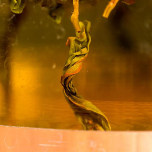 广东潮州凤凰单枞蜜兰香 优级/一级/特级 袋装罐装多规格 商品图2