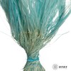 永生花材|墨西哥羽毛草蓝色 商品缩略图1