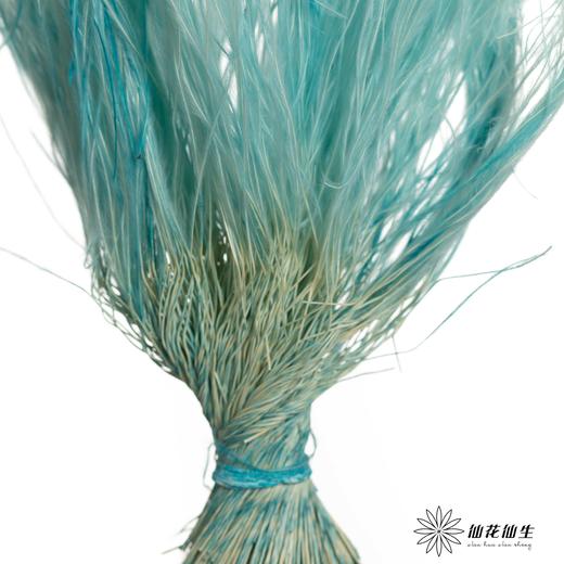 永生花材|墨西哥羽毛草蓝色 商品图1