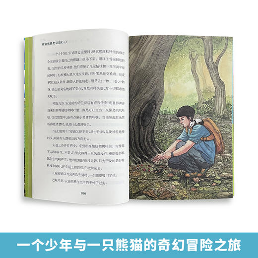 熊猫男孩奇幻旅行记 商品图2