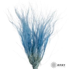 永生花材|墨西哥羽毛草蓝灰色