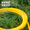 得力PVC水管(黄) 商品缩略图2
