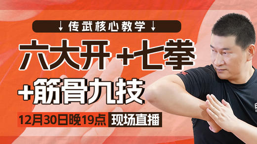 【12月30日】 最后一场：六大开+七拳体系+筋骨九技 商品图0