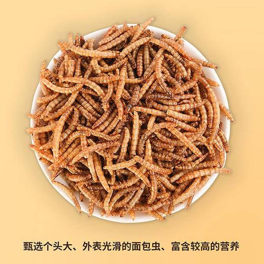 面包虫干550ml 小宠物零食高蛋白 小仓鼠金丝熊零食营养饲料主粮 商品图4