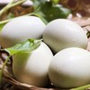 生态黄金皮蛋 |  外Q弹内软糯 不含铅 | 合作生产 | 基地直发包邮 * Ecological Golden Preserved Eggs 商品缩略图5