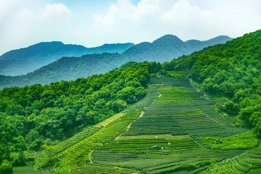 【雨林秘境 亲子奇遇】西双版纳+普洱7天6晚童趣之旅 商品图6