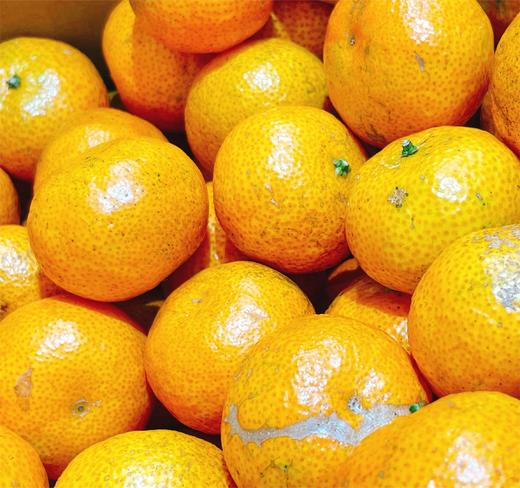 湖南高山雪峰橘（约4.5斤箱装/500g盒装）| 水果 商品图1