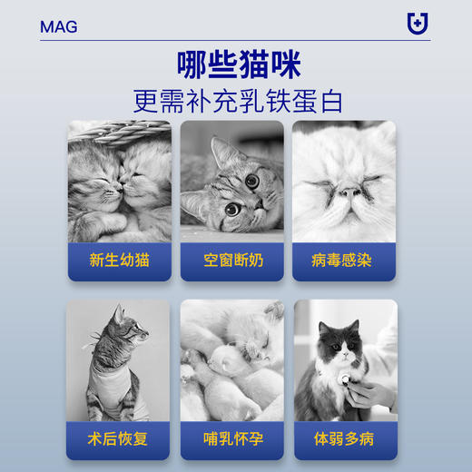（2瓶装更优惠）MAG U+系列【MAG浓缩天然乳铁蛋白】幼猫幼犬乳铁蛋白胶囊抗病毒调理肠胃 商品图8