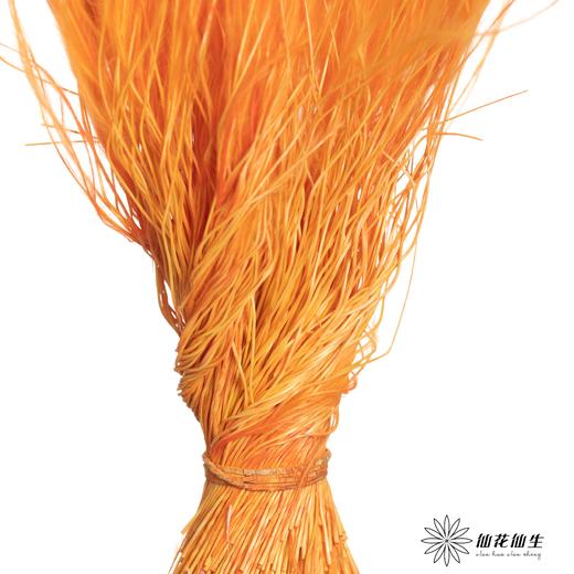 永生花材|墨西哥羽毛草橙色 商品图1