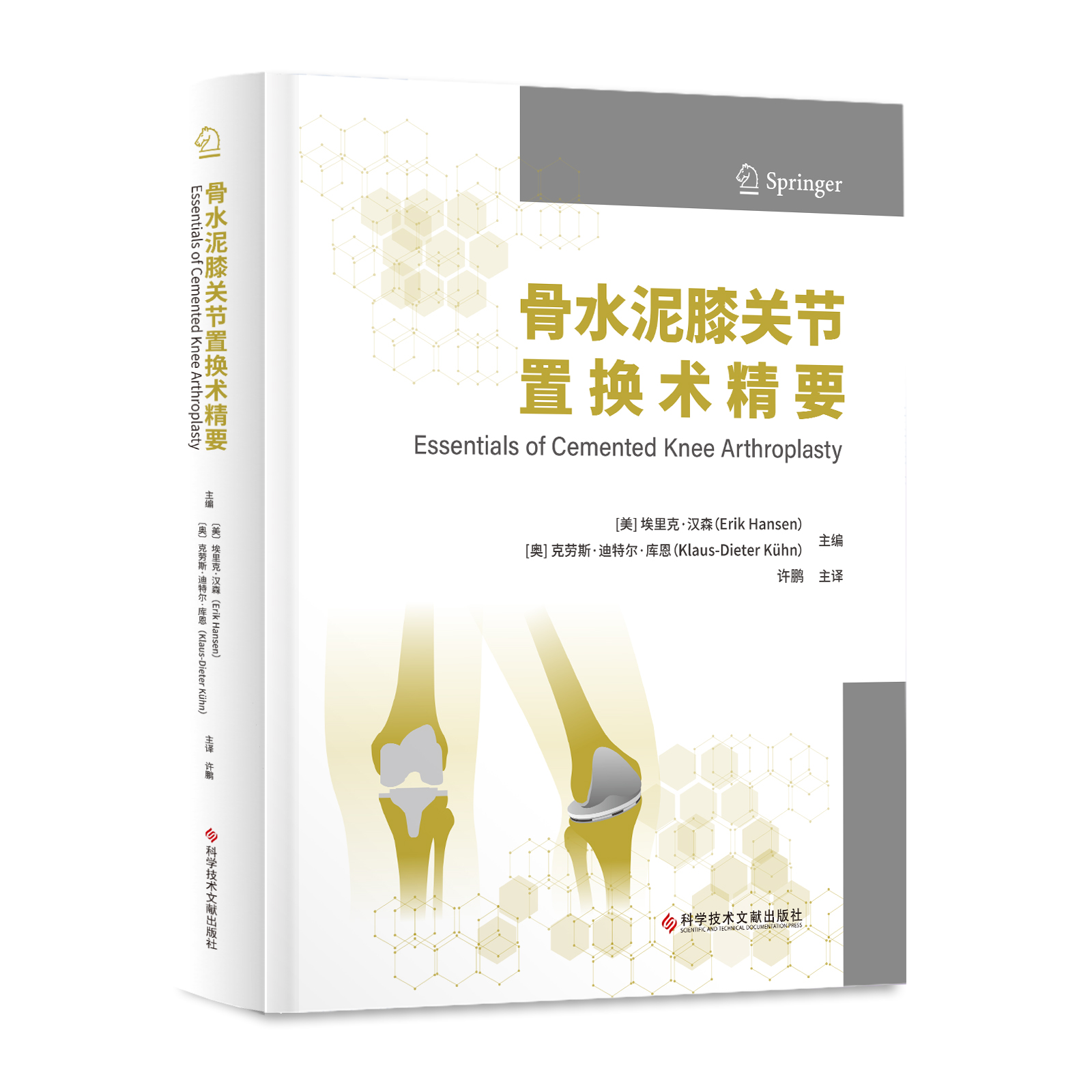 骨水泥膝关节置换术精要  主译 许鹏 辽科出版