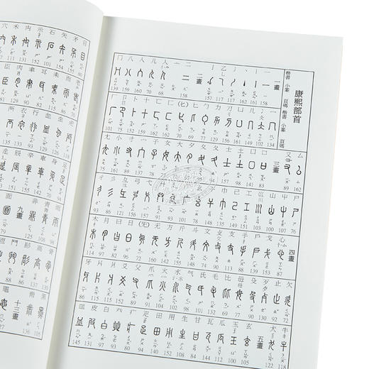 【中商原版】篆书书法基础：540部首文字演变 港台艺术原版 崇羲王心怡 凤凰文物中心 商品图3