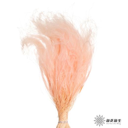 永生花材|墨西哥羽毛草肉粉色 商品图0