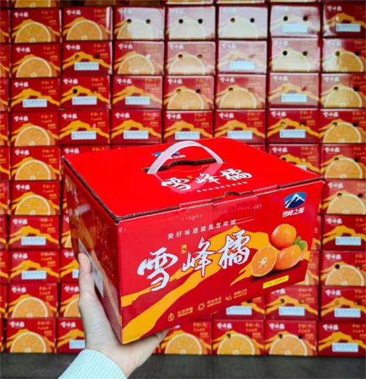 湖南高山雪峰橘（约4.5斤箱装/500g盒装）| 水果 商品图3