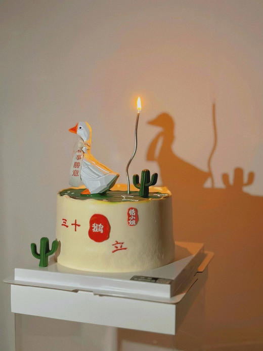 三十鹅立，万事顺意大白鹅 商品图10