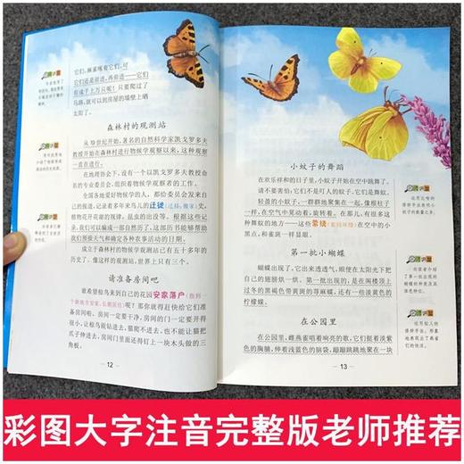 森林报 彩图升级版  商品图3