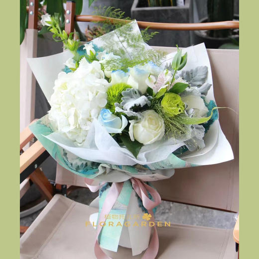 春意绿 商品图0